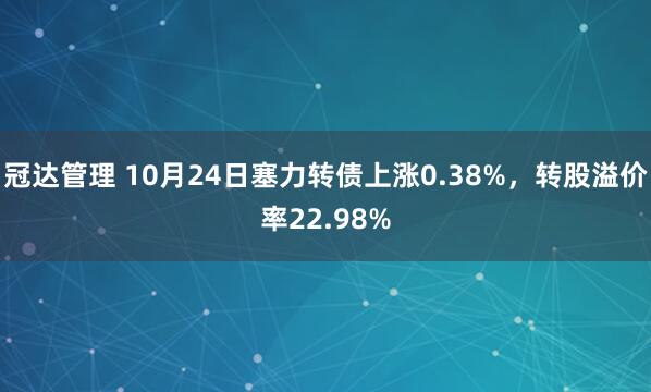 冠达管理 10月24日塞力转债上涨0.38%,转股溢价率22.98%